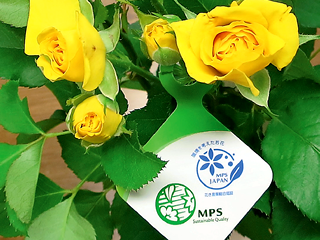 MPSマーク 環境を考えたお花 花き産業総合認証